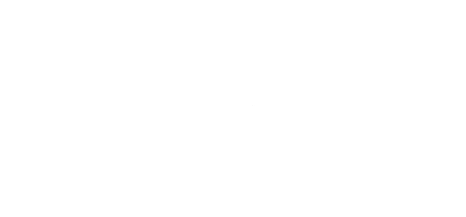 logo aie nuevo blanco horizontal