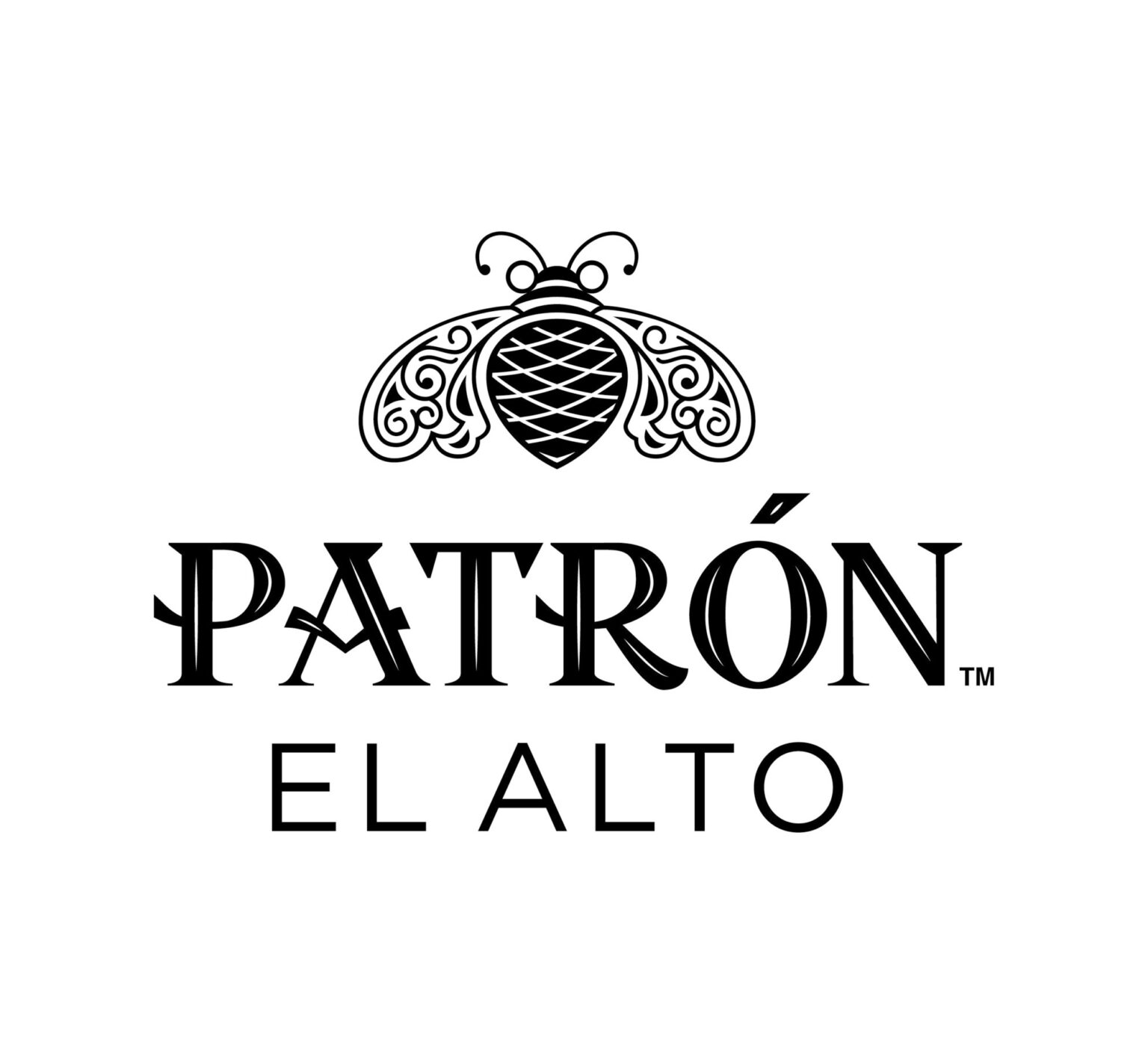 INICIO-AIEP patron el alto logo